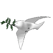 dove-of-peace.gif